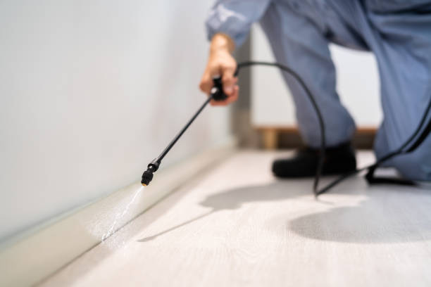 Rodent Entry Point Assessment in Sidney