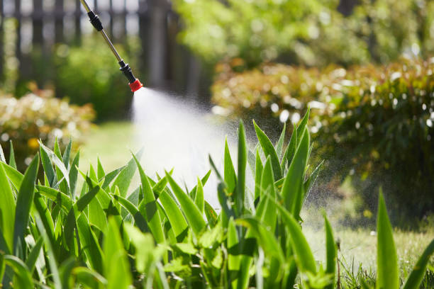 Tamper-Resistant Bait Stations for Rodents in Sidney