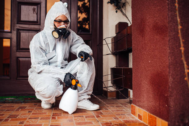 Attic and Crawl Space Rodent Treatment in Sidney